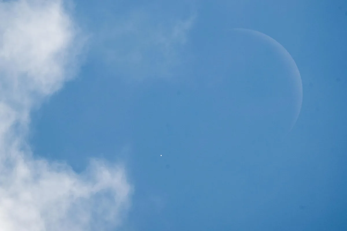 Lunar Occultation of Venus