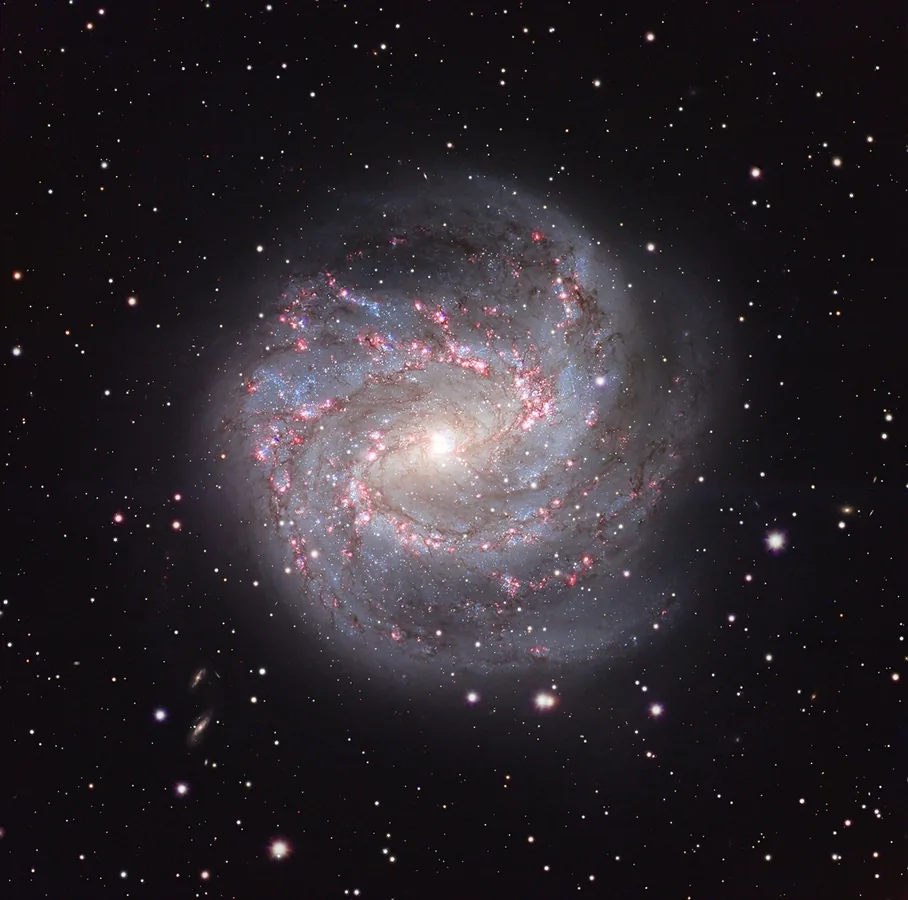 APOD: 2026 September 11 – M83: The Southern Pinwheel