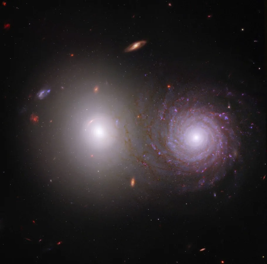 Help Overlap Zoo Reveal Cosmic Dust