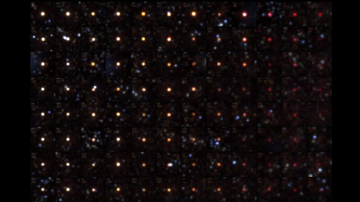 NASA’s SPHEREx Telescope Sees Menagerie of Brown Dwarfs