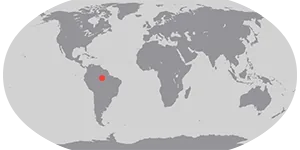 Fires Arrive in the Amazon Rainforest